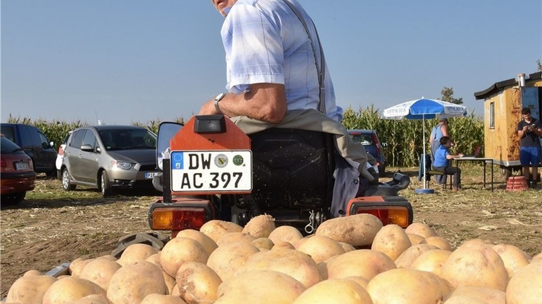 Kartoffellesen hält fit, sagt Siegfried Schreiber, der mit Traktor und Hänger vorgefahren ist. Nun geht es zur Waage der Agrar GmbH.