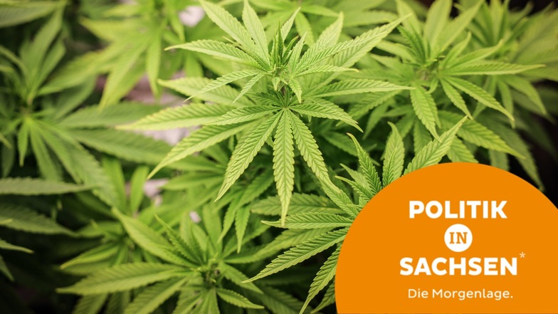Morgenlage in Sachsen: Cannabis-Gesetz; Ausländische Fachkräfte; CDU vs. Grüne