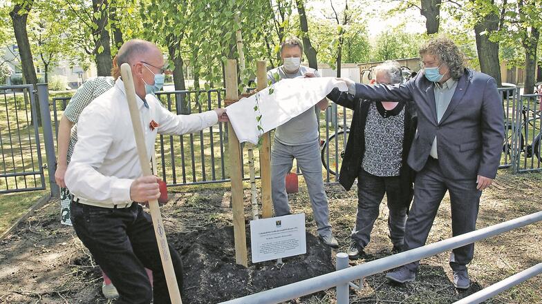 Vertreter von der Stadt Weißwasser, Vereinen und Bürger pflanzten am 8. Mai 2020 eine Weißbirke am Sowjetischen Ehrenmal und enthüllten eine Gedenktafel.