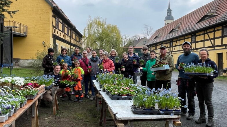 Einwohner des Priestewitzer Ortsteils Lenz beim Bepflanzen des Pfarrhofes. Sie bereiten damit das Frühlingsfest im Lenz-Monat April vor.