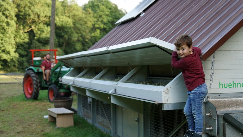 Tammes (4) hilft seinen Eltern gern bei der Arbeit mit den Hühnern. Das mobile Heim für die 200 Hennen steht seit ein paar Monaten im Schanzenbachtal.