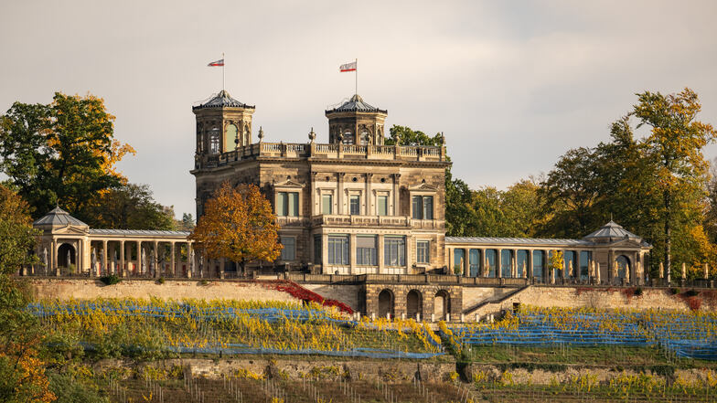 Ein Rechtsstreit soll klären, wer das Lingnerschloss betreiben soll.