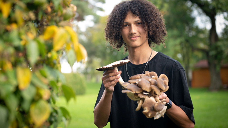 Tristan Jurisch aus Arnsdorf kennt sich in den Wäldern bestens aus und ist mit 17 Jahren Sachsens jüngster Pilzsachverständiger.