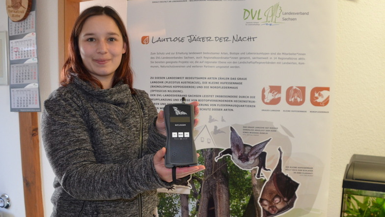 Christina Schunk ist Fledermaus-Projektkoordinatorin und für das Gebiet des Landkreises Görlitz zuständig. Der Detektor kann sogar die Arten bestimmen.