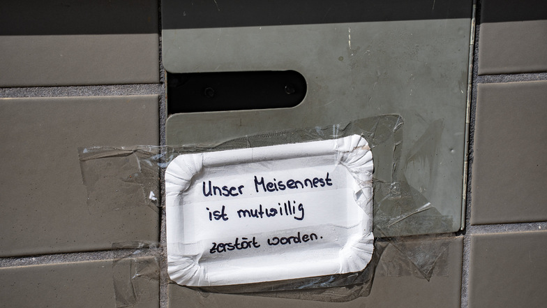 Jetzt hängt am Nachtschalter der Esso-Tankstelle an der Leipziger Straße ein Pappschild: Unser Meisennest ist mutwillig zerstört worden. War es ein Waschbär?