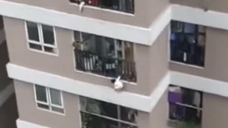 Mann rettet Kind bei Sturz aus 12. Stock