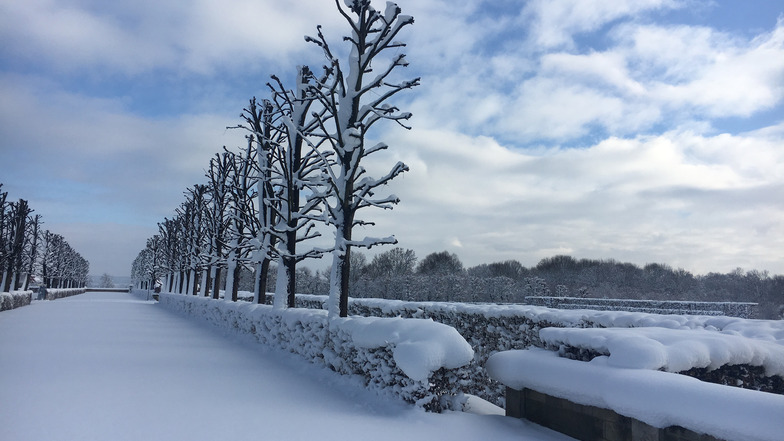 Ruhe: Diese wundervolle Stimmung mit glitzerndem Schnee, Sonne und fast unberührten Schneeflächen hielt Syndia Muschalik aus Dürrröhrsdorf-Dittersbach im Barockgarten Großsedlitz fest.
