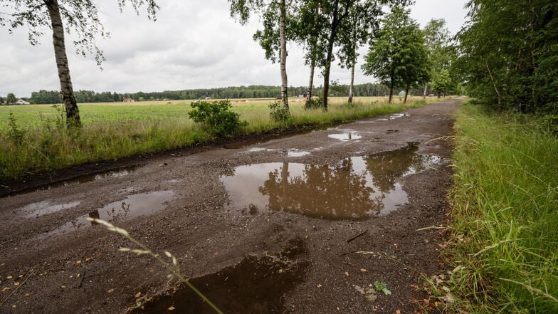 Pfützenbildung auf dem Schwarzkollmer Weg auf dem Territorium von Leippe-Torno: Auf dem Foto ist der aufgewölbte Fahrbahnrand gut zu erkennen. Der verhindert das Abfließen des Wassers, das wiederum weicht den Untergrund auf.