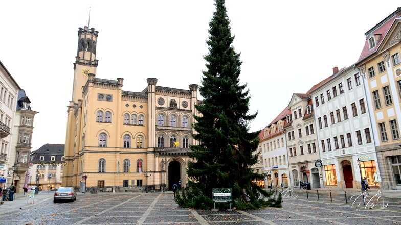 Der diesjährige Weihnachtsbaum ist eine Omorika-Fichte, auch serbische Fichte genannt. Bis Freitag kommt noch die Beleuchtung dran.