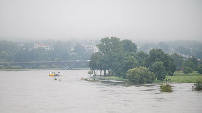 Hochwasser Dresden - Figure 3