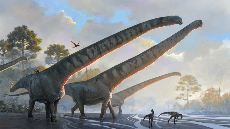 Die undatierte Illustration des Natural History Museums zeigt "Mamenchisaurus sinocanadorums".
