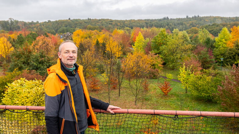 Später als in anderen Jahren ist der Indian Summer im Forst-Park in Hartha zu erleben. Kustos Ulrich Pietzarka ist trotz einiger Schwierigkeiten auf die 20-jährige Entwicklung dieser Anlage stolz.