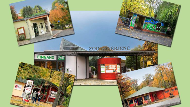 Die Tierparks und Zoos der Oberlausitz in Bischofswerda, Weißwasser, Zittau und Görlitz (von oben links nach unten rechts) sowie Hoyerswerda (Mitte) erhalten 2020 vom Kulturraum zusammen über eine Million Euro.