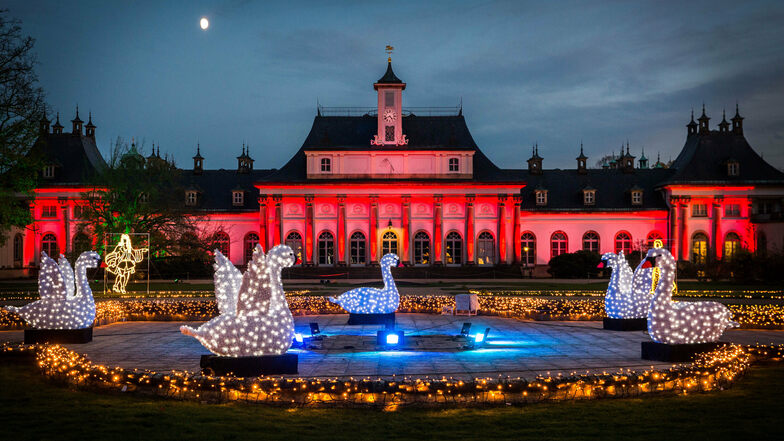 Schwäne zierten im Vorjahr den Lustgarten im Schloss Pillnitz während des Christmas Garden.