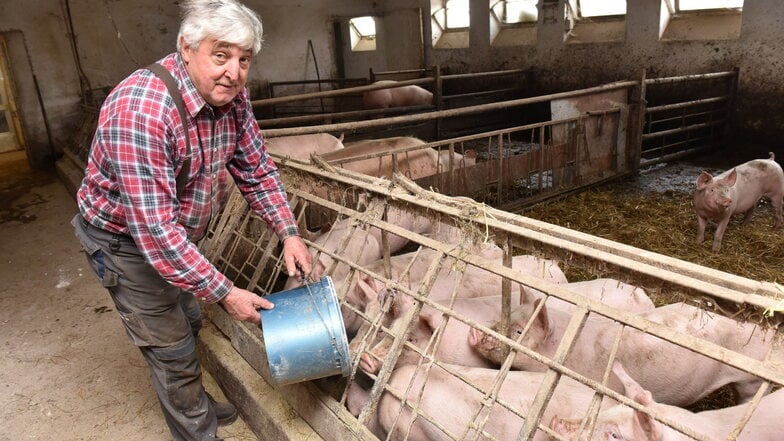 Rainer Ebert füttert seine Schweine in Höckendorf mit Kraftfutter, das aus dem eigens angebauten Getreide hergestellt wird.