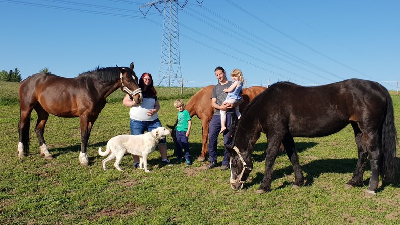 Katrin und Reiko Röthig mit ihren Kindern und einem der beiden Hütehunde auf ihrer Koppel gleich hinter ihrem Haus in Berthelsdorf. Die 29-Jährige hält hier das verletzte Pferd ihrer Freundin.