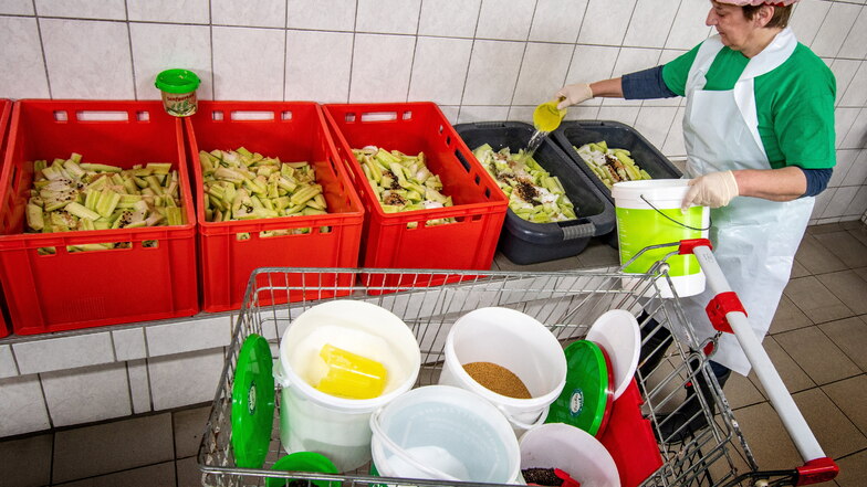 Gurken und Gewürze, soweit das Auge reicht: So sieht es in der Produktionshalle für Gurkenspezialitäten in Stauchitz aus.
