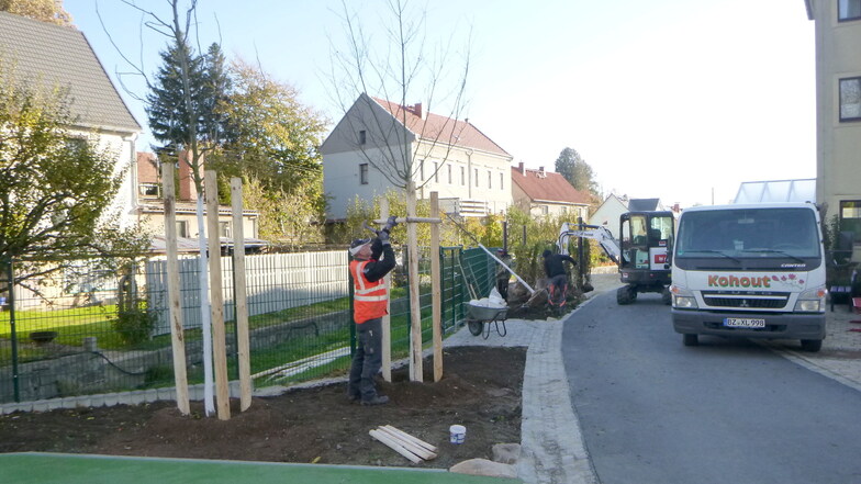 Zuletzt wurden noch Bäume und Sträucher auf dem neuen Schulhof in Oberottendorf gepflanzt.