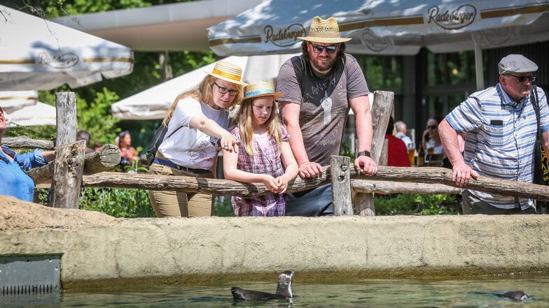 Sven, Claudia und Tochter Marlene Jäke sind seit 2017 jedes Jahr beim Dixieland im Zoo dabei.