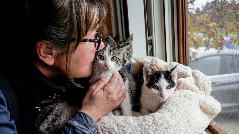 Das Herz von Irina Wenzel schlägt für herrenlose Katzen. Sie fängt die Streuner ein, lässt sie beim Tierarzt kastrieren, bezahlt die medizinische Versorgung von Spenden oder aus der eigenen Tasche.