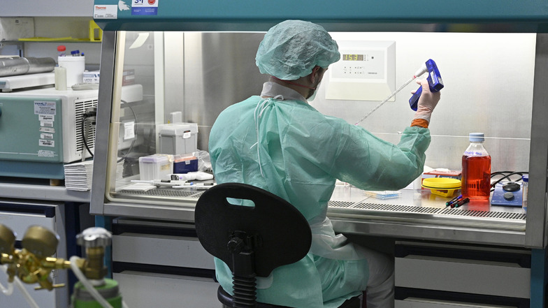 Im Institut für Hygiene und Angewandte Immunologie der Medizinischen Universität Wien werden Laboruntersuchungen zur Abklärung des Coronavirus vorgenommen. 