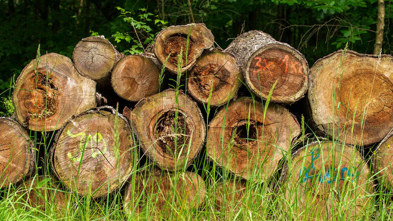 So sieht eine typische Portion Fichtenbrennholz aus. Wer nicht direkt im Wald arbeiten will, kauft sich solch einen Stapel, der am Weg bereit liegt.