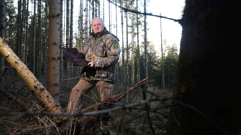 Dirk Synatzschke ist Naturschützer und pensionierter Förster. Er kennt die Schäden im Wald auf dem Keulenberg bei Oberlichtenau genau.