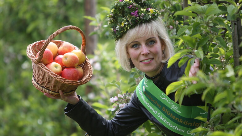 Äpfel gibt es auch dieses wieder in Borthen, eine Blütenkönigin aber wird nicht gekrönt. Antje Uhlig war 2019/20 die vorerst letzte, die bei einem Fest gekrönt werden konnte.