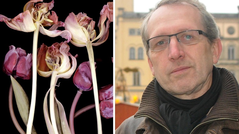 Matthias Weber hat mit Scanogrammen wie diesem aus der Serie „transform floral“ gewonnen.