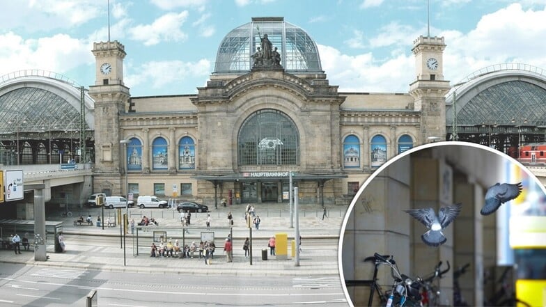 Taubendreck und Schrotträder: Schandfleck vorm Hauptbahnhof Dresden wird endlich beseitigt