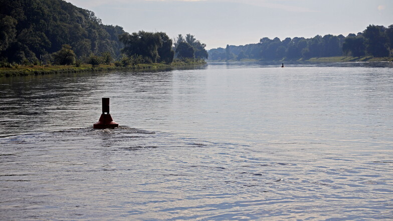 Ein Blick auf die Elbe bei Riesa. Einige Kilometer flussabwärts ist am Sonnabend eine Leiche im Fluss entdeckt worden.