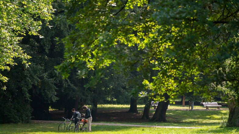 Der Stadtpark in Görlitz: Hier findet man ein schattiges Plätzchen.