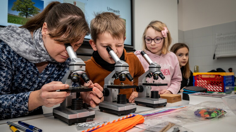 Beim Schultestival im vergangenen Jahr zeigte die Lehrerin Anne Jungandreas den Kindern Präparate von Insekten durch das Mikroskop.