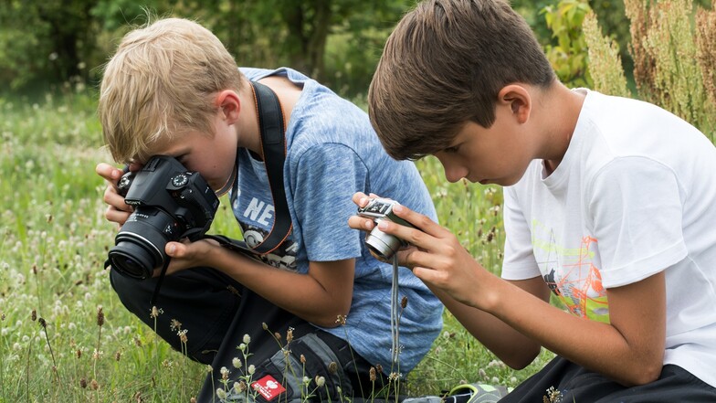 Im Heinz Sielmann Natur-Erlebniszentrum gibt es am 20. Juli einen Fotokurs für Kinder.