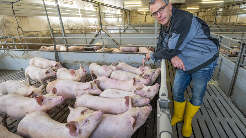 Matthias Döcke ist Vorstand der Herwigsdorfer Genossenschaft Agrofarm. Die Afrikanische Schweinepest stellt seine Branche vor große Probleme.