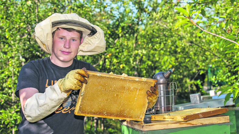 Trotz Schutzanzug: Hobby-Imker Philemon Tunger (16) wurde schon mehr als ein Mal von seinen Bienen gestochen.