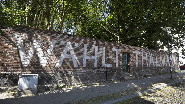 Hinter der "Wählt-Thälmann"-Wand an der Jakob-Böhme-Straße war über Jahrzehnte ein richtiges Wäldchen herangewachsen. Jetzt kamen die Kettensägen.