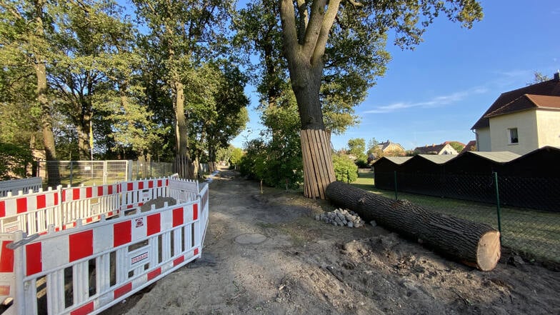 Die Baustelle Sandweg/Park der Solidarität in Blickrichtung B 97 – rechts am Bildrand zu sehen ein Teil des Baumstammes der gefällten Eiche.