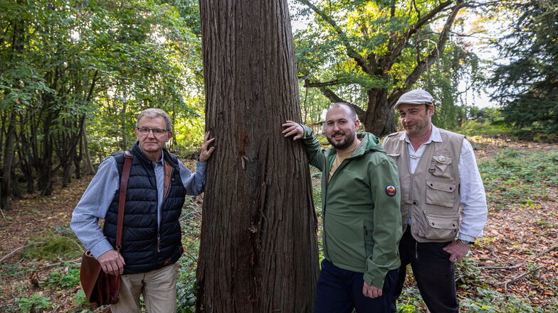 Harald Israel, Jan Horsky und Michael Merlerski (v.li.) haben einen neuen Verein zum Erhalt des Parks am Schloss Nöthnitz gegründet