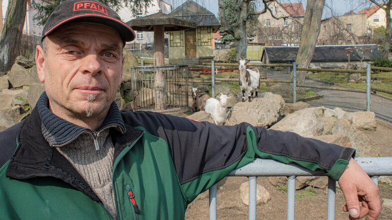Auch in Corona-Zeiten versorgt Lutz Wendt die Tiere im Kamenzer Ziegenpark. Er hofft, dass bald wieder geöffnet werden kann.