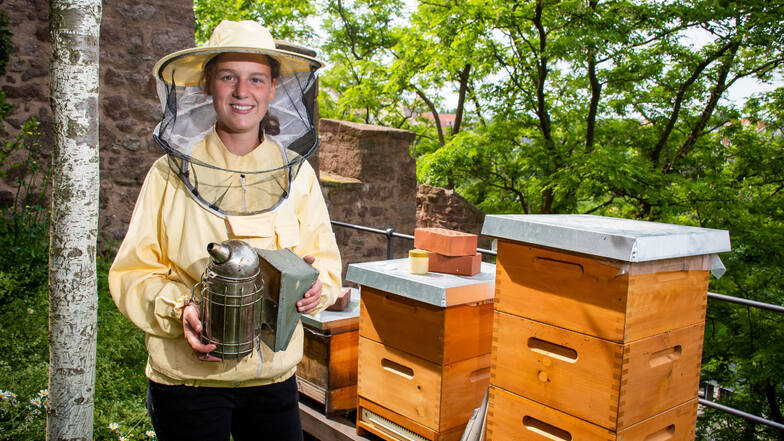 Durchaus gut geschützt arbeitet Paula Schiller an ihren Bienenstöcken auf der Burg Mildenstein.