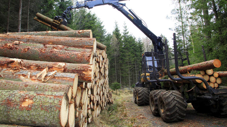 Der Holzverkauf ist die Haupteinnahmequelle des Forstbetriebs.