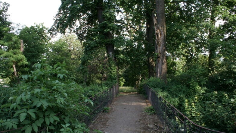 Für den Schlosspark in Nöthnitz ist die Gemeinde auf der Suche nach frischen Geldern. Im Zuge der BUGA 2033 könnten diese womöglich in das Anwesen fließen.