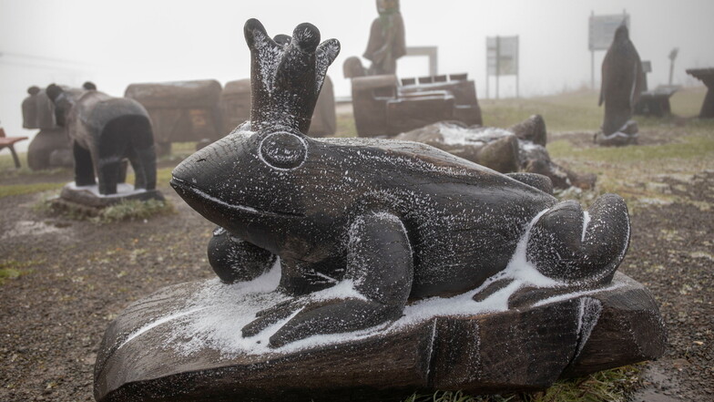 Eine hauchdünne Schneeschicht liegt auf der Frosch-Figur im Kinderspielgarten dem Fichtelberg.