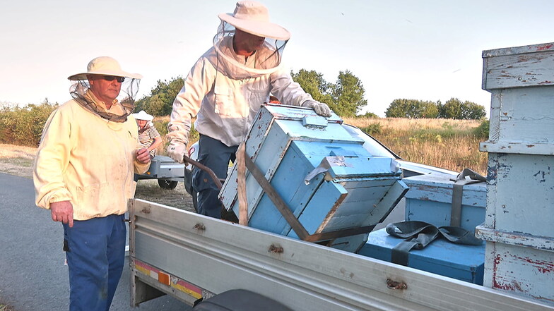 Die geretteten Bienenvölker wurden nach Cotta transportiert.