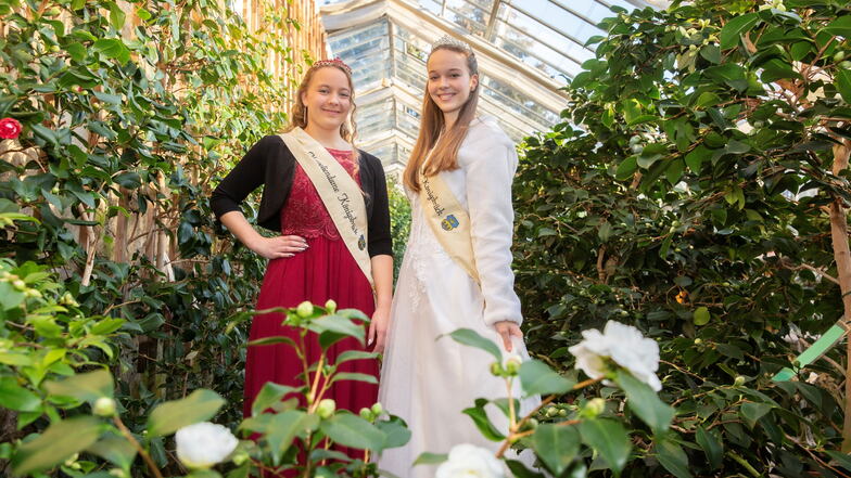 Das sind die beiden neuen Kameliendamen: Cindy Vetter (l.) und Johanna Worm präsentieren die besonderen Pflanzen von Königsbrück.
