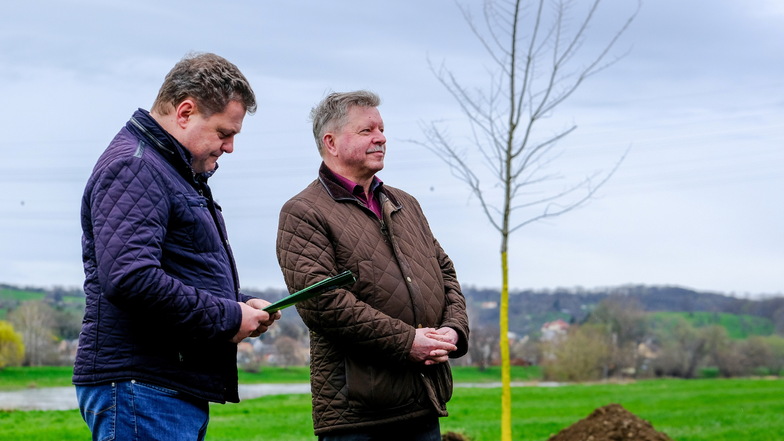 Die Oberbürgermeister der Städte Coswig und Radebeul, Thomas Schubert (l.) und Bert Wendsche, präsentieren stolz die Ortsbegrüßungsbäume. Sie sind Teil eines größeren Projekts.