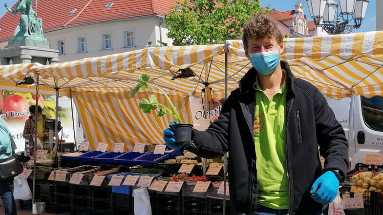 Der Künstler ist jetzt Verkäufer auf dem Großenhainer Markt: Spargel und Tomatenpflanzen statt Dresdner Staatsoperette.