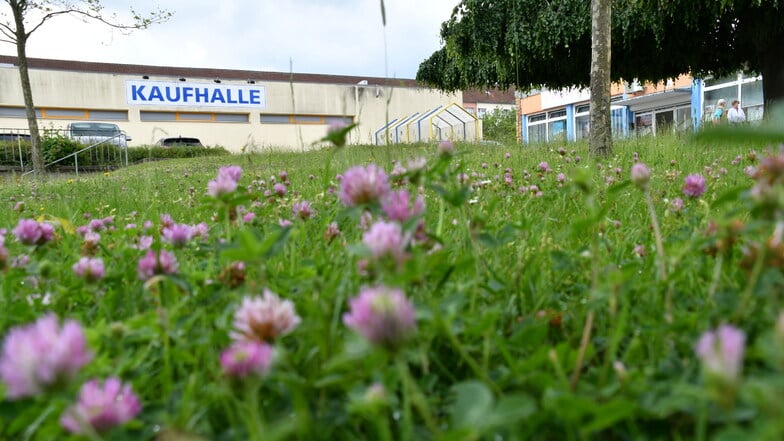 Die Kaufhalle ist zu, am Freitag kommt erstmals ein mobiler Verkaufsstand in die Radeberger Südvorstadt.