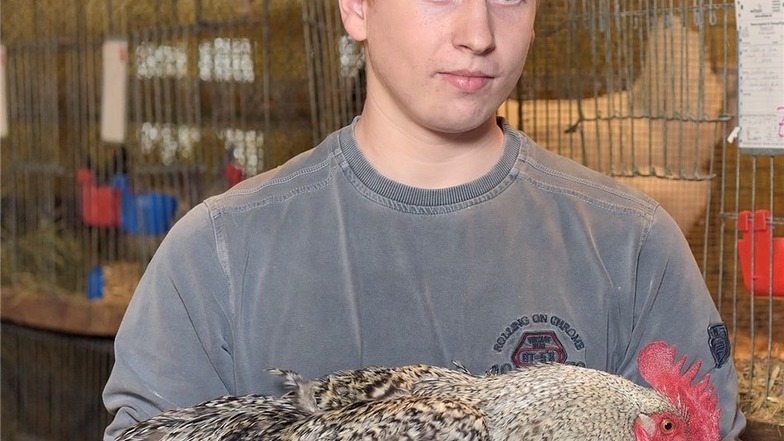 Josef Grimme mit einem Hahn der Rasse Marans. Der 15-Jährige aus Niederforst ist jüngstes Mitglied im Roßweiner Rassegeflügelzüchterverein, dem weiterer Nachwuchs fehlt.
